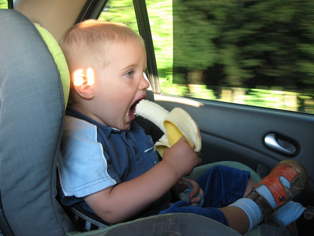 IMG_0862.JPG - Banan gdzieś na Kaszubach