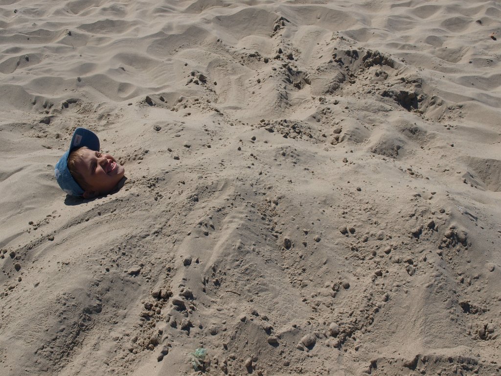 2014-05-26_P5269377.JPG - Sama głowa leży?