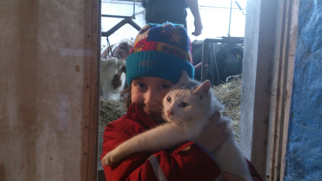 2015-01-26_17-21_DSC_0185.jpg - Kotek