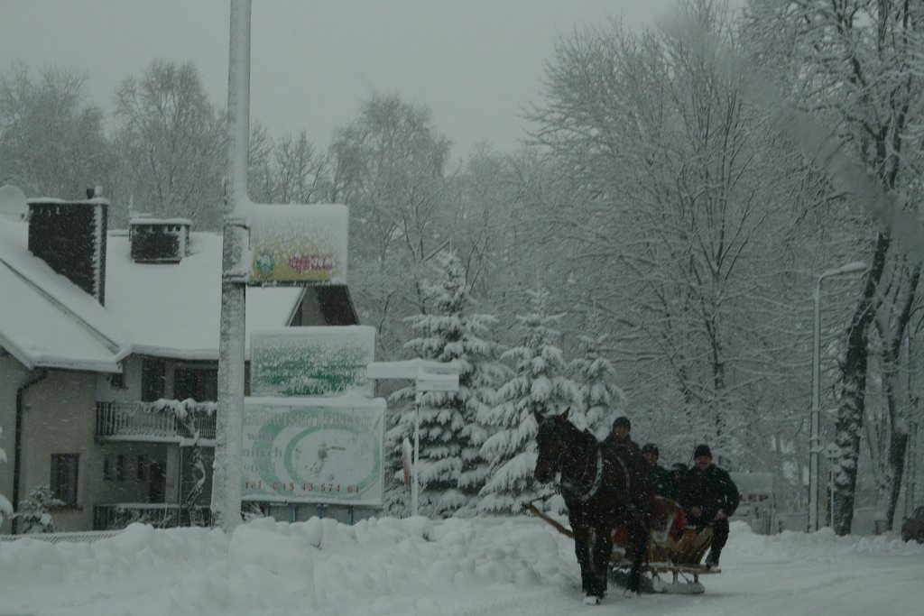 IMG_2042.JPG - Zima w Rymanowie Zdroju