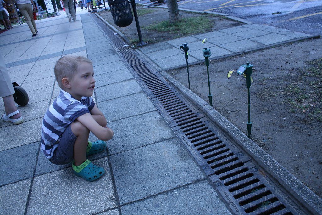 IMG_4810.JPG - Motylki na baterie :)